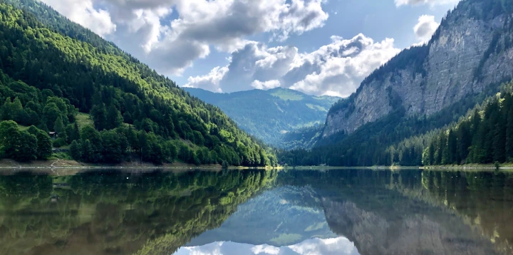 lake surrounded with trees and mountains